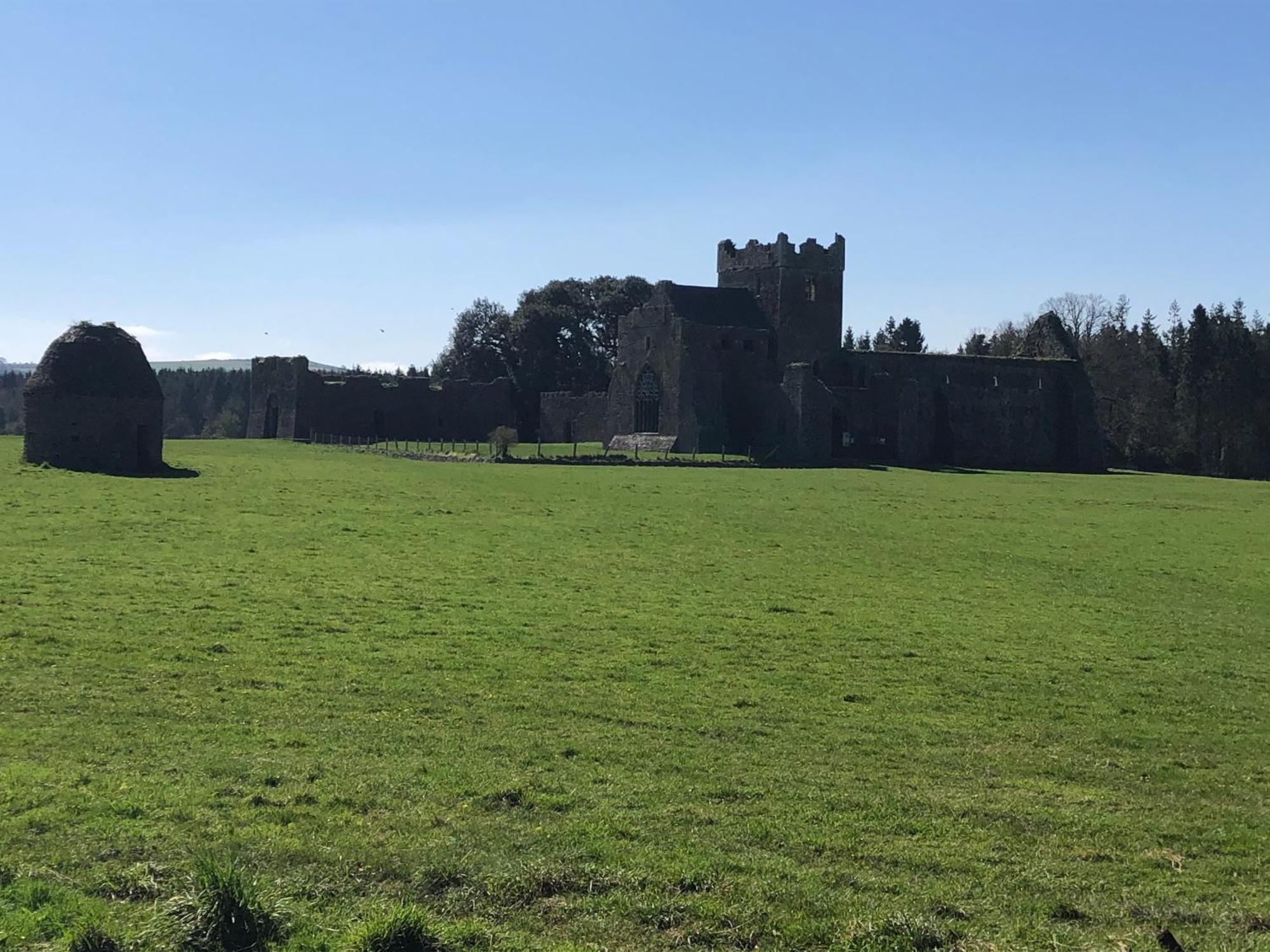 The Lodge - Rural Tipperary Bordering Kilkenny Ballingarry  Exterior foto